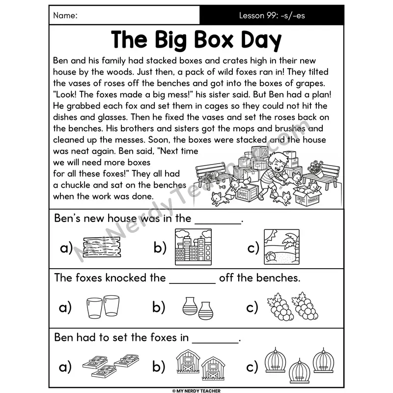 Suffixes -s and -es Decodable Passage - The Big Box Day (Picture Choices)